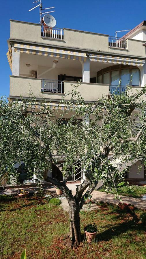 App Lov Apartment Umag